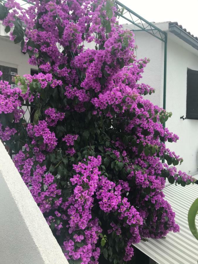 Sara Apartments Baška Voda エクステリア 写真
